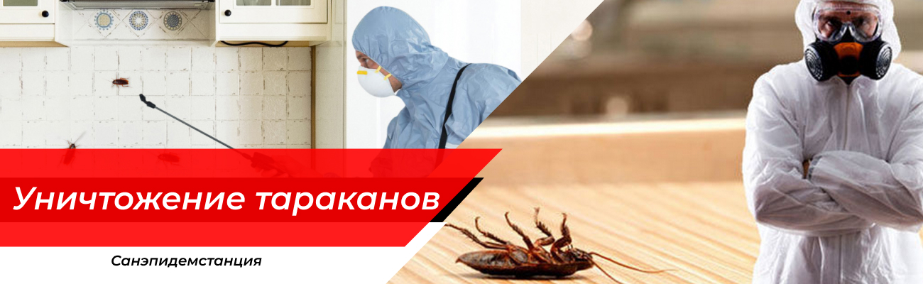Уничтожение тараканов Лосино-Петровский